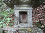 IMG 6824