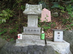 IMG 6848