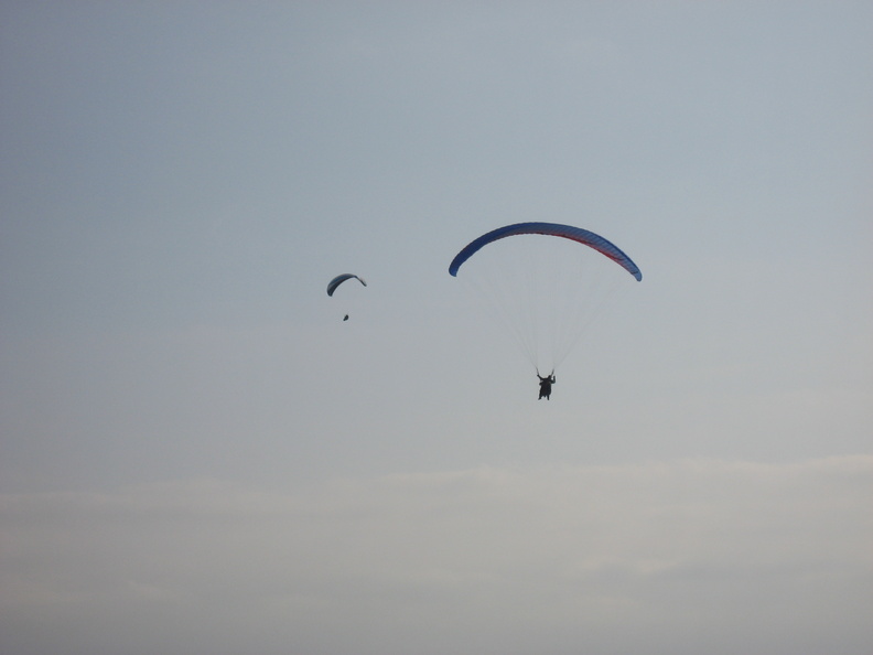 150221 Nishi IMG_7405.JPG