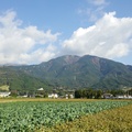 DSC 0088